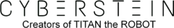 cyberstein logo